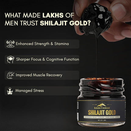 Rasayanam Shilajit Gold Resin 20g