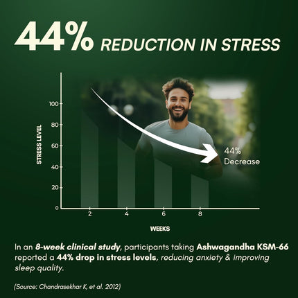 Rasayanam Ashwagandha KSM-66- 60 Capsules