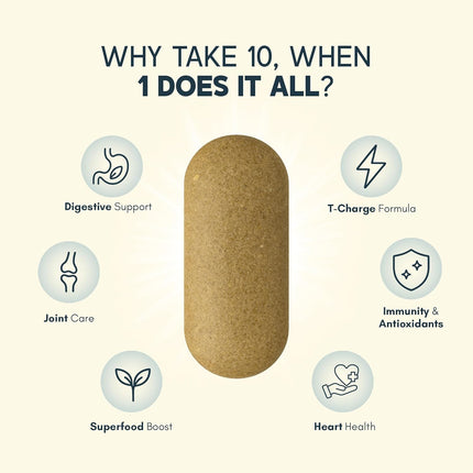 Rasayanam Multivitamin - 60 Tablets