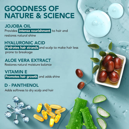 Botanic Hearth Jojoba & Hyaluronic Acid Shampoo with Jojoba Oil & Aloe Extracts-200 ml