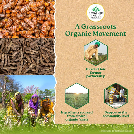 Organic India Turmeric Formula - 60 Veg Capsules