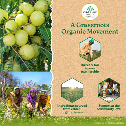 Organic India Amalaki - 60 Veg Capsules