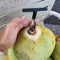 Buy and Bill Coconut Opener – Effortlessly Enjoy Fresh Coconut Water!